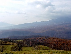 20061105-06kusatsu (13).jpg